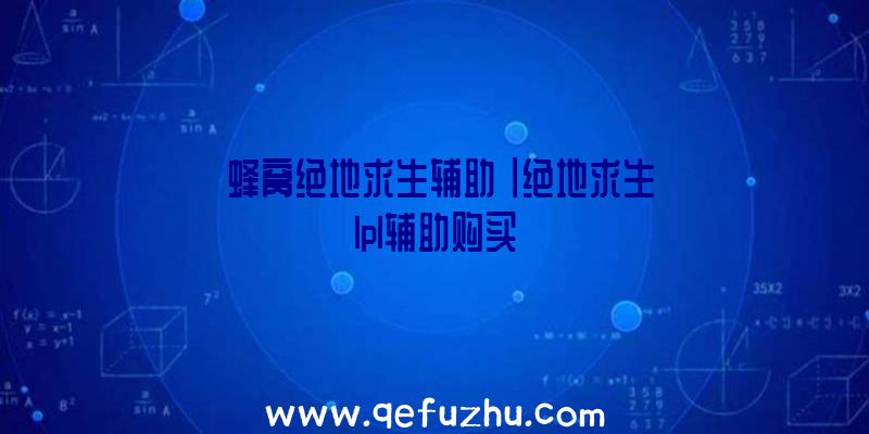 「蜂窝绝地求生辅助」|绝地求生lpl辅助购买